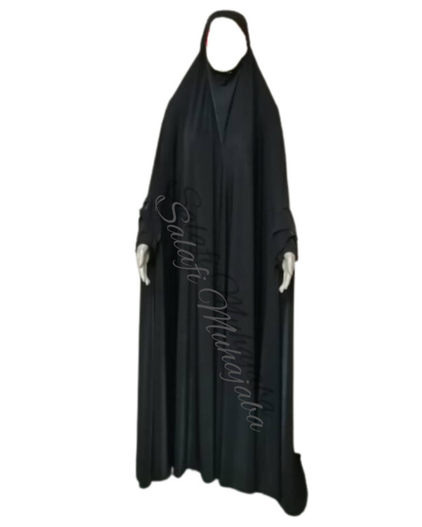 Abaya 17